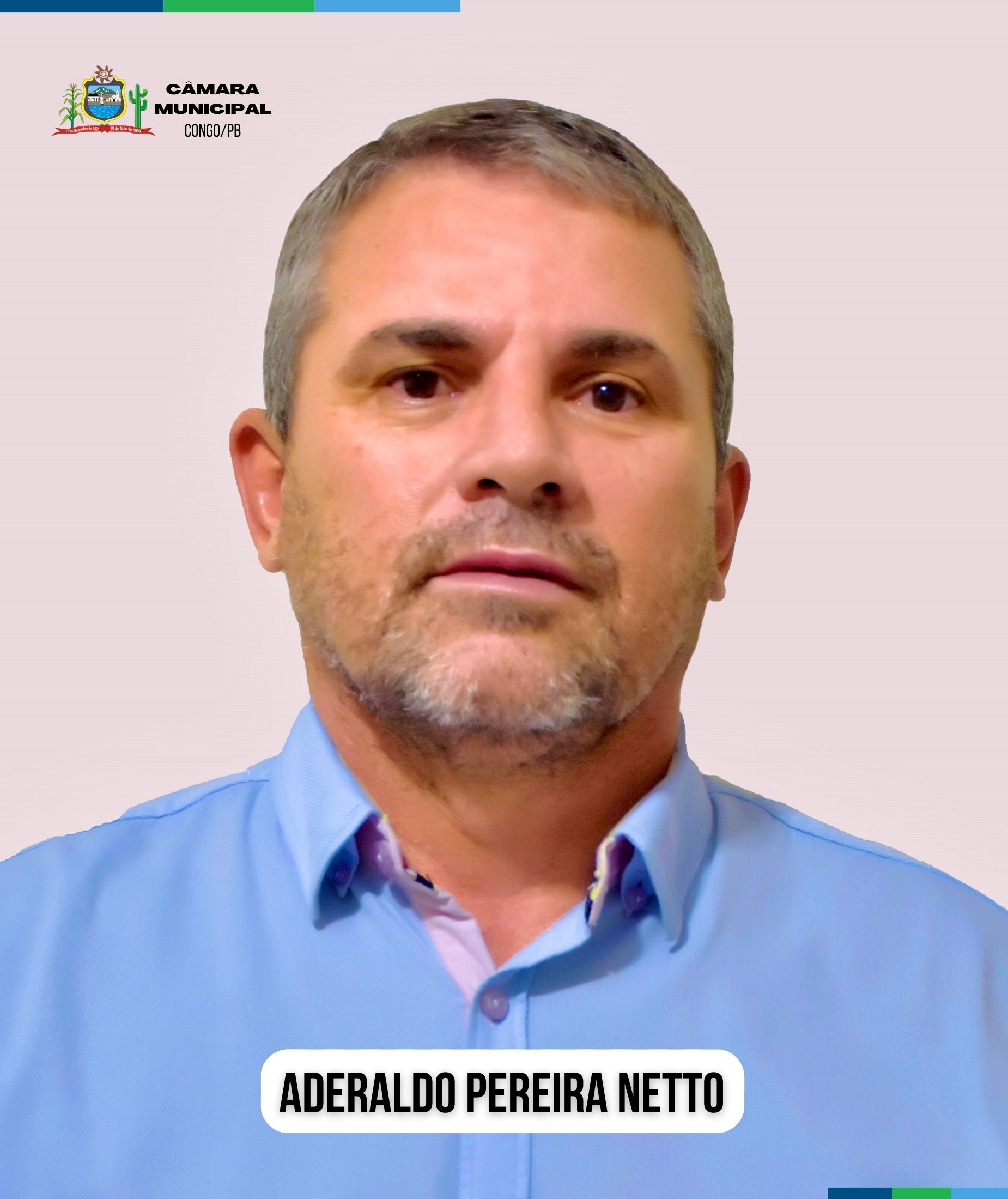 Aderaldo Pereira Netto